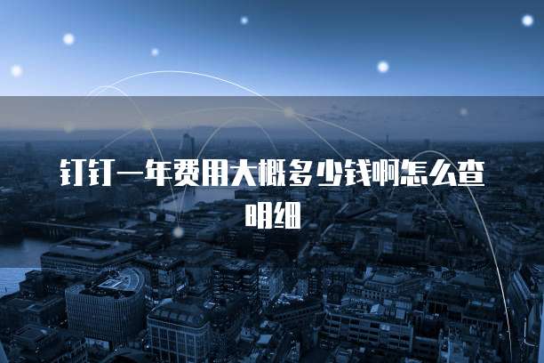 钉钉一年费用大概多少钱啊怎么查明细