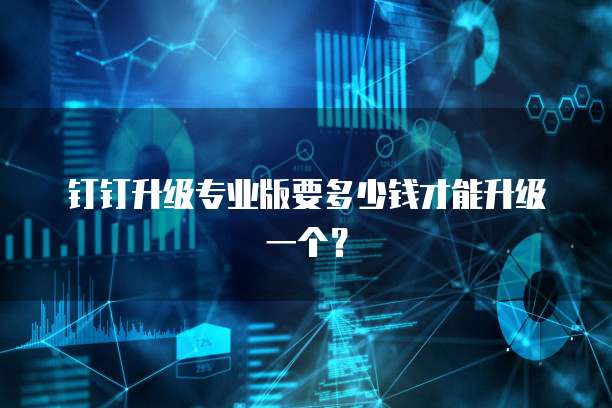 钉钉升级专业版要多少钱才能升级一个?