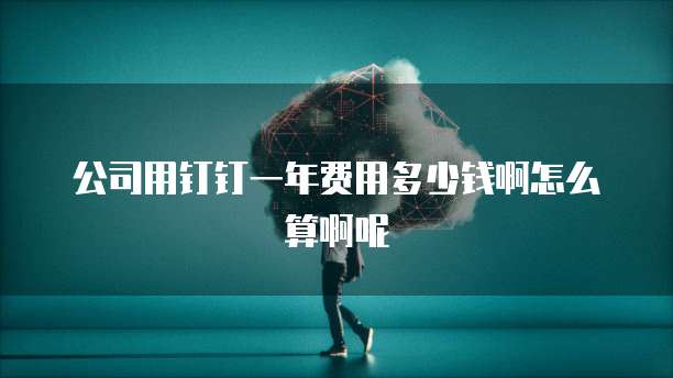 公司用钉钉一年费用多少钱啊怎么算啊呢