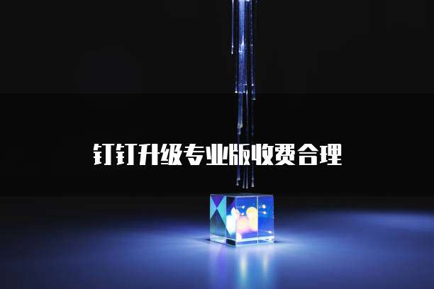 钉钉升级专业版收费合理