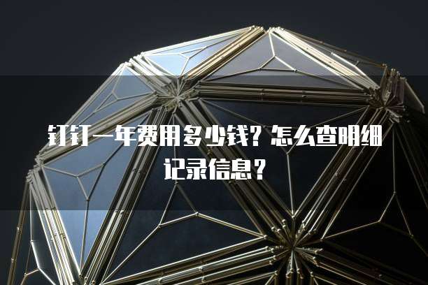 钉钉一年费用多少钱?怎么查明细记录信息?