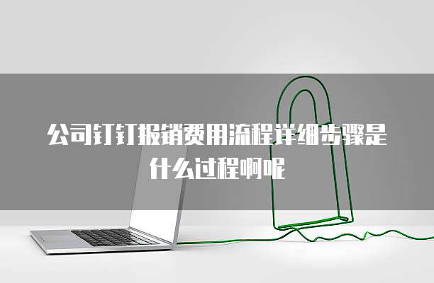 公司钉钉报销费用流程详细步骤是什么过程啊呢