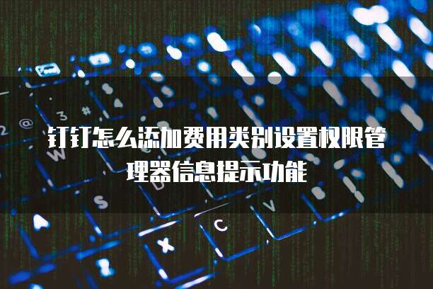 钉钉怎么添加费用类别设置权限管理器信息提示功能