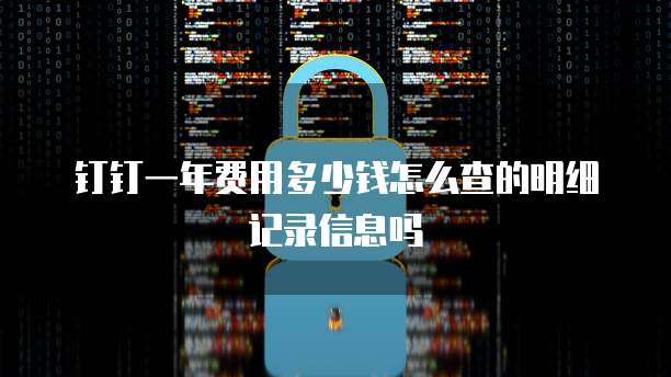 钉钉一年费用多少钱怎么查的明细记录信息吗