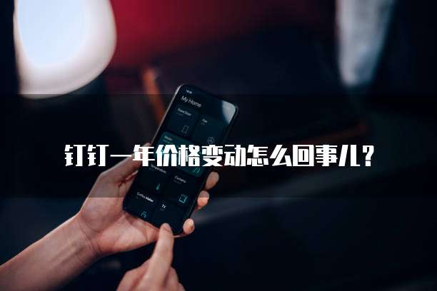 钉钉一年价格变动怎么回事儿?
