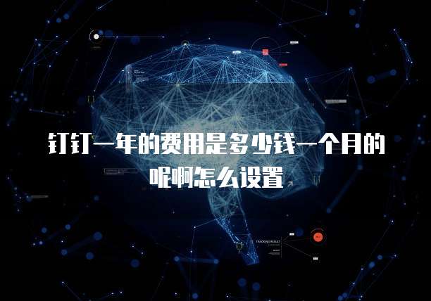 钉钉一年的费用是多少钱一个月的呢啊怎么设置