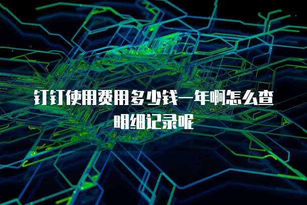 钉钉使用费用多少钱一年啊怎么查明细记录呢