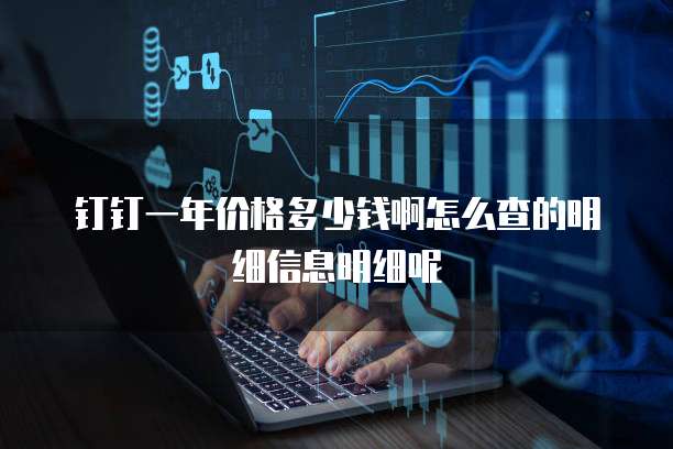 钉钉一年价格多少钱啊怎么查的明细信息明细呢
