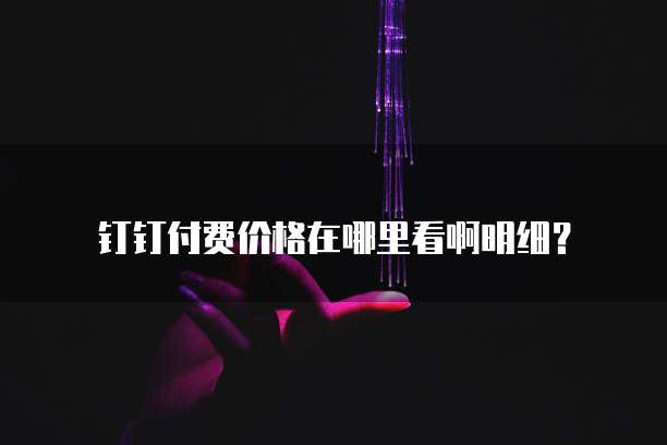 钉钉付费价格在哪里看啊明细?