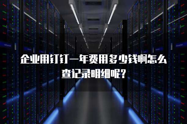 企业用钉钉一年费用多少钱啊怎么查记录明细呢?