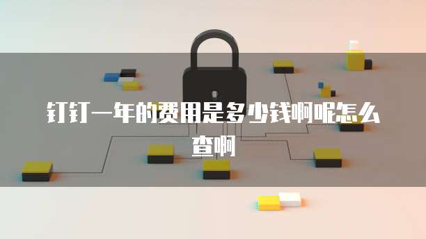 钉钉一年的费用是多少钱啊呢怎么查啊