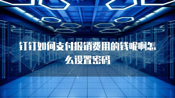 钉钉如何支付报销费用的钱呢啊怎么设置密码