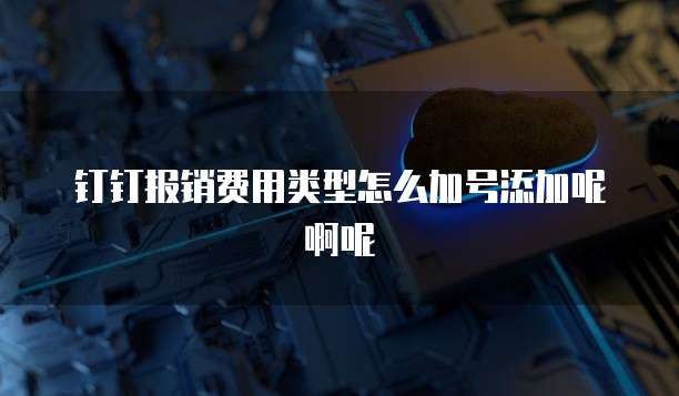 钉钉报销费用类型怎么加号添加呢啊呢