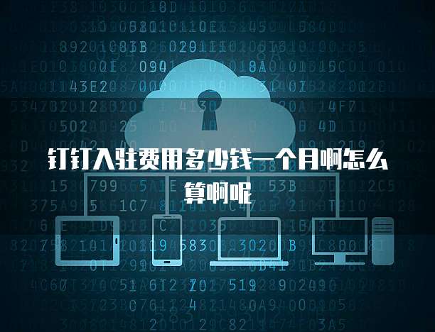 钉钉入驻费用多少钱一个月啊怎么算啊呢
