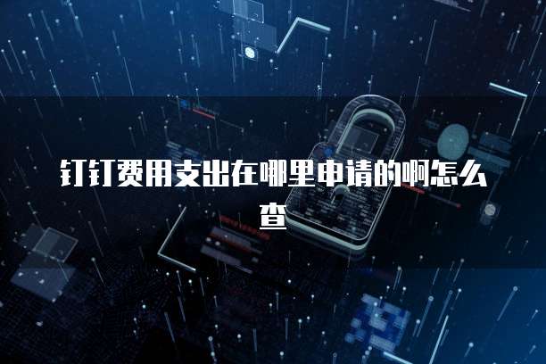 钉钉费用支出在哪里申请的啊怎么查