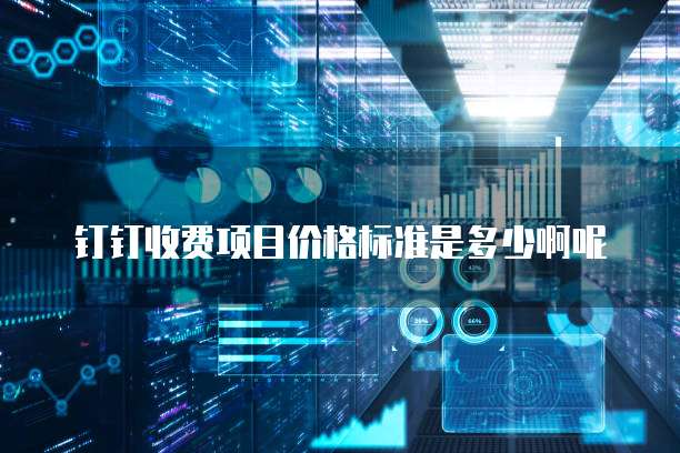 钉钉收费项目价格标准是多少啊呢