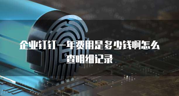 企业钉钉一年费用是多少钱啊怎么查明细记录