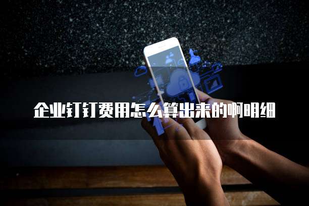 企业钉钉费用怎么算出来的啊明细
