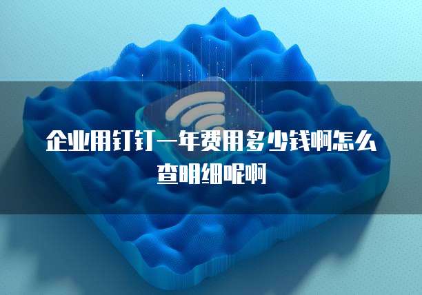 企业用钉钉一年费用多少钱啊怎么查明细呢啊