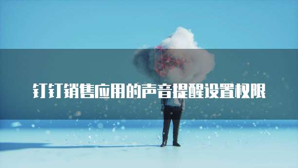 钉钉销售应用的声音提醒设置权限