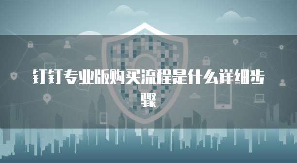 钉钉专业版购买流程是什么详细步骤