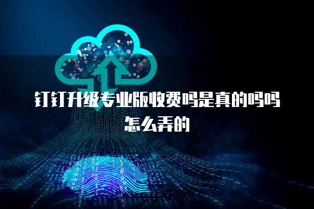 钉钉升级专业版收费吗是真的吗吗怎么弄的