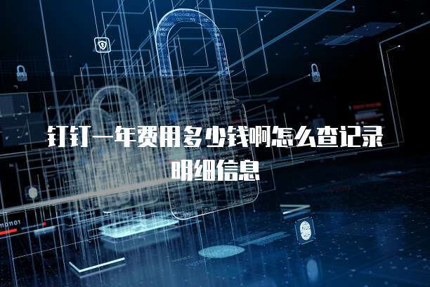 钉钉一年费用多少钱啊怎么查记录明细信息