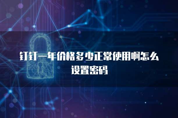 钉钉一年价格多少正常使用啊怎么设置密码