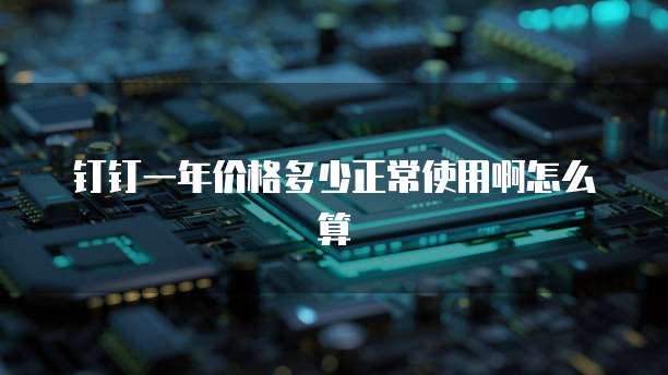 钉钉一年价格多少正常使用啊怎么算