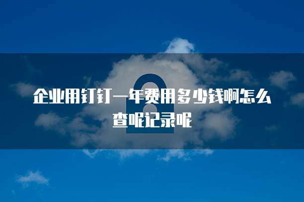 企业用钉钉一年费用多少钱啊怎么查呢记录呢