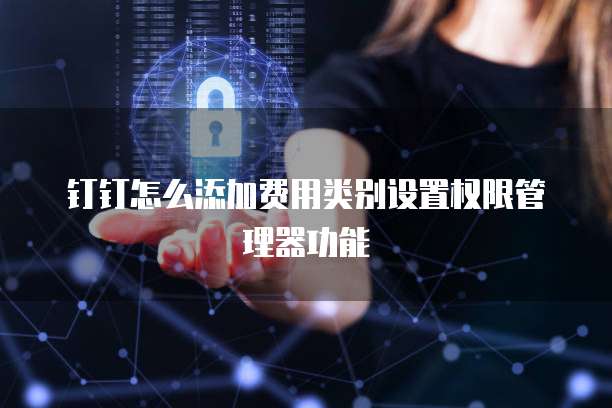钉钉怎么添加费用类别设置权限管理器功能