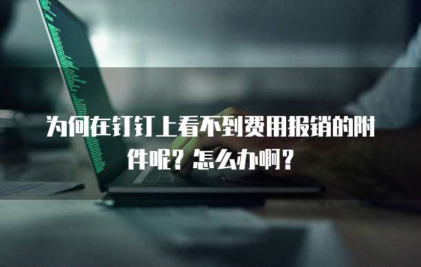 为何在钉钉上看不到费用报销的附件呢?怎么办啊?