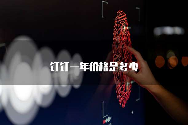 钉钉一年价格是多少