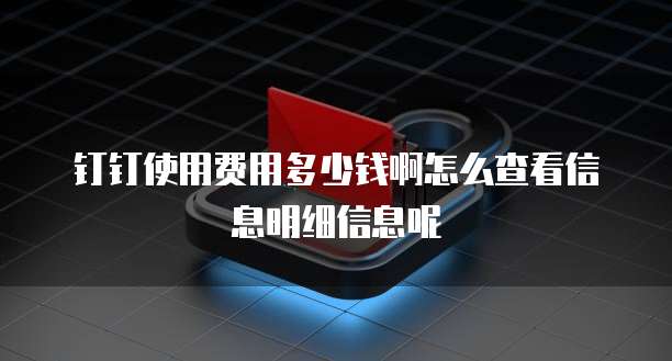 钉钉使用费用多少钱啊怎么查看信息明细信息呢