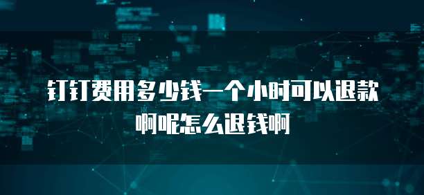 钉钉费用多少钱一个小时可以退款啊呢怎么退钱啊