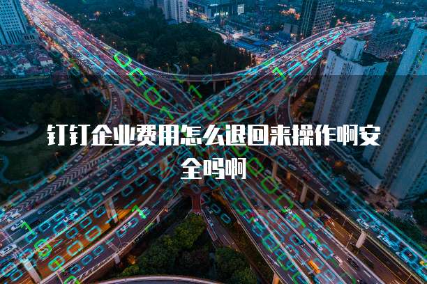钉钉企业费用怎么退回来操作啊安全吗啊