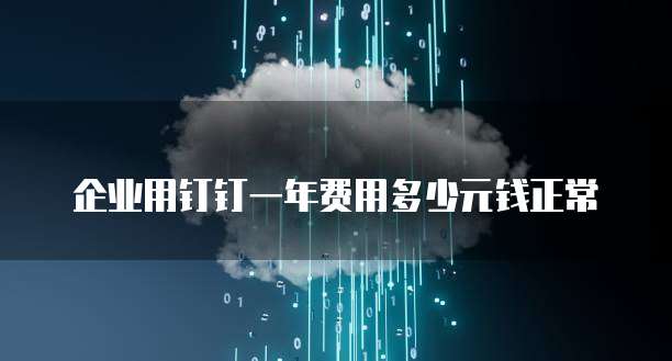 企业用钉钉一年费用多少元钱正常