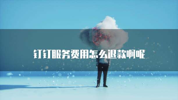 钉钉服务费用怎么退款啊呢