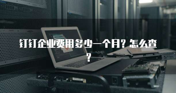 钉钉企业费用多少一个月?怎么查?