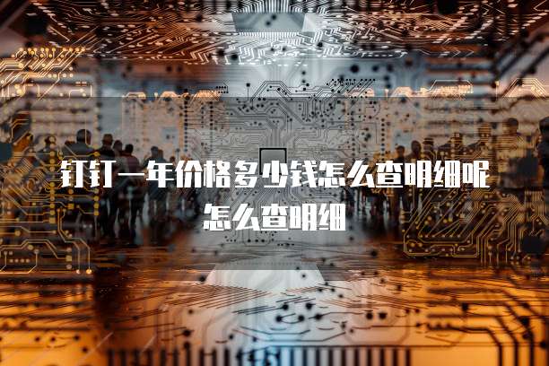 钉钉一年价格多少钱怎么查明细呢怎么查明细