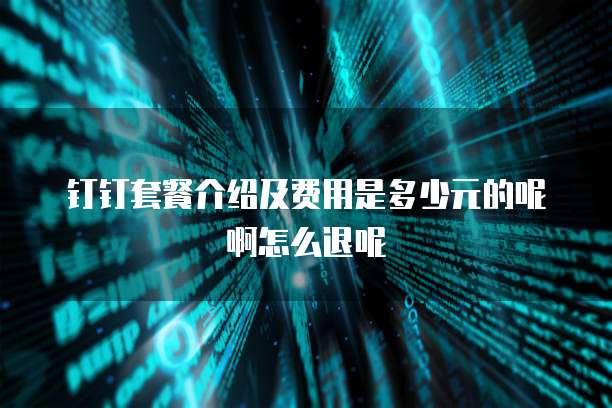 钉钉套餐介绍及费用是多少元的呢啊怎么退呢