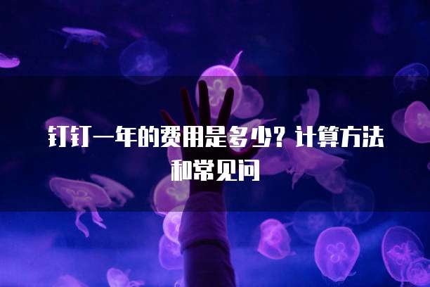 钉钉一年的费用是多少?计算方法和常见问