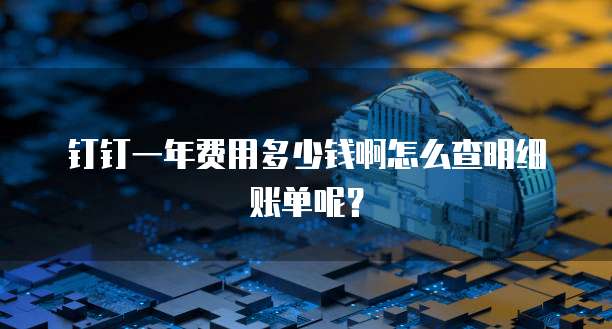 钉钉一年费用多少钱啊怎么查明细账单呢?