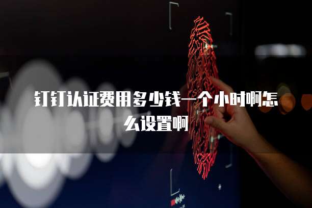 钉钉认证费用多少钱一个小时啊怎么设置啊