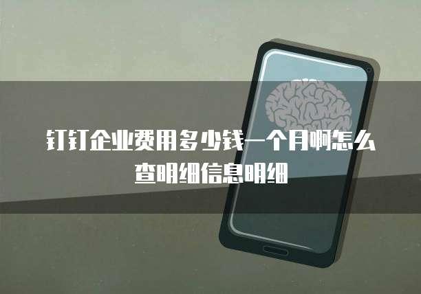 钉钉企业费用多少钱一个月啊怎么查明细信息明细
