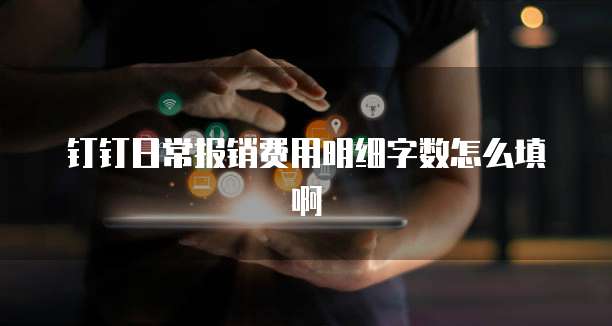 钉钉日常报销费用明细字数怎么填啊