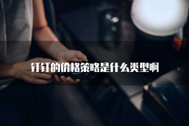钉钉的价格策略是什么类型啊