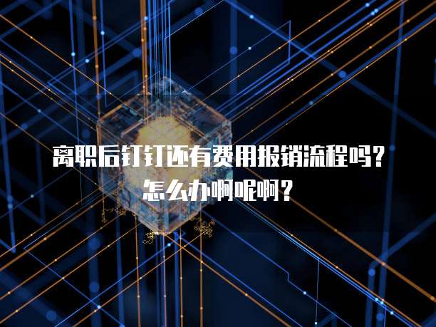 离职后钉钉还有费用报销流程吗？怎么办啊呢啊？