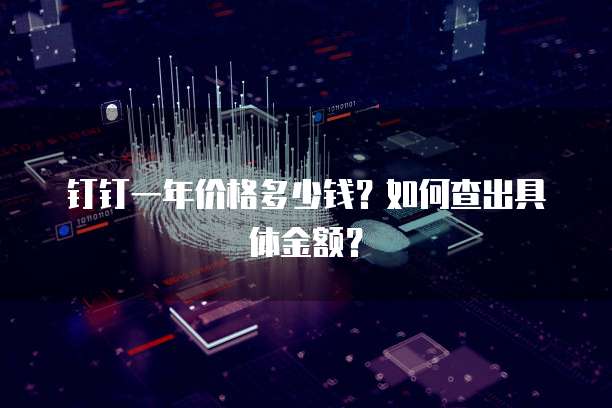 钉钉一年价格多少钱?如何查出具体金额?