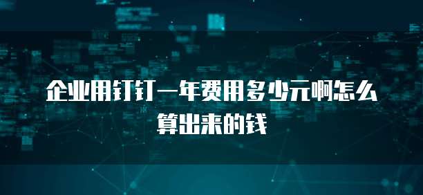 企业用钉钉一年费用多少元啊怎么算出来的钱